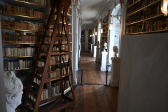 Herzogin Anna Amalia Bibliothek Weimar