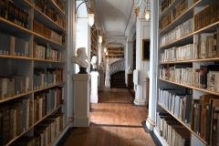 Herzogin Anna Amalia Bibliothek Weimar