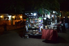 FLIP-Buchverkauf-beim-Buecherbus