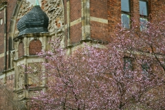 Buchhaendlerhaus