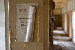 Gang