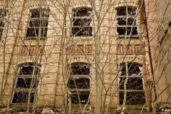 Meyer-Ruine