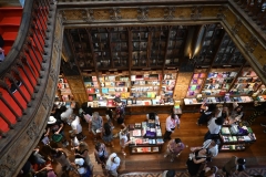Livraria Lello: Vor den Buchregalen
