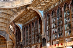 Livraria Lello: Rechts der Treppe