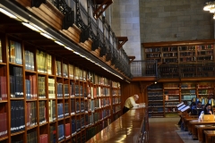 New-York-Public-Library