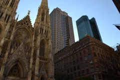 St.Patricks-Cathedral