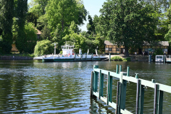Faehre-zur-Pfaueninsel