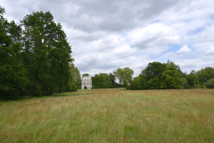 Wiese