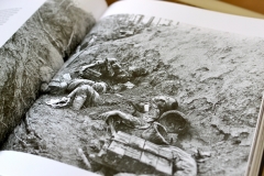 Aus dem Photoband »Untergang einer Welt«