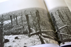 Aus dem Photoband »Untergang einer Welt«