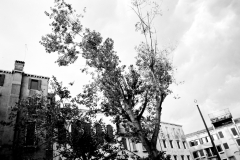 Venedig: Ghetto Nuovo