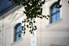 Weimar: Herzogin Anna Amalia Bibliothek