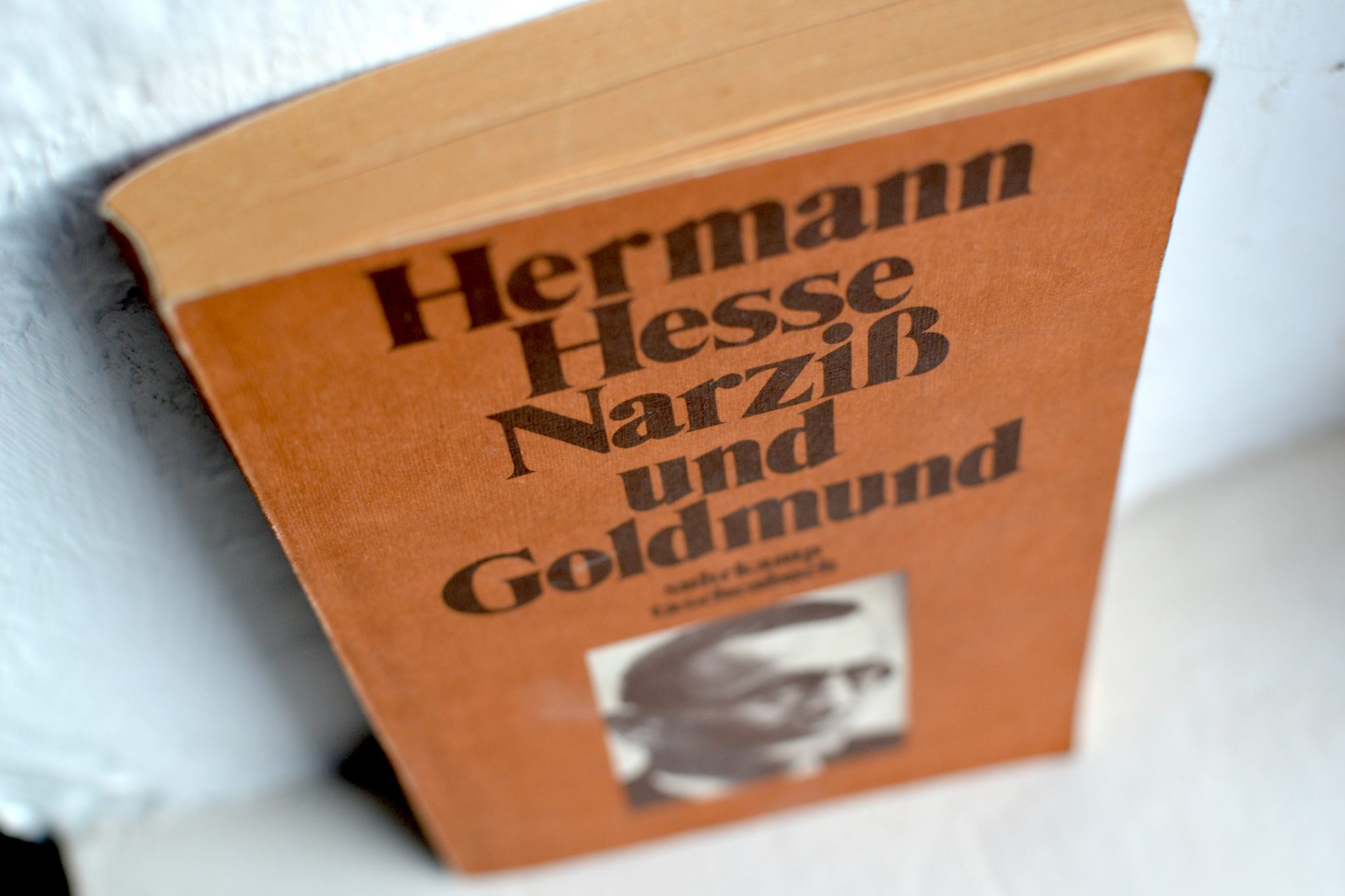 Hermann Hesse: Narziß und Goldmund | Kaffeehaussitzer
